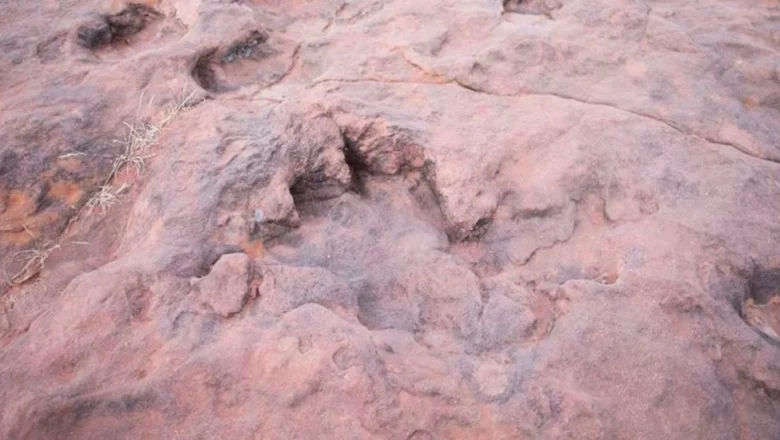 Municipio respalda el proyecto de Ley “Tierra de Gigantes” para impulsar el turismo paleontológico en Tarija